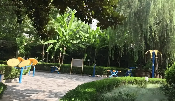 大专转深户_2025上海城市形象片焕新发布：上海新一刻，城市因你更美好 新教后入使用之材投